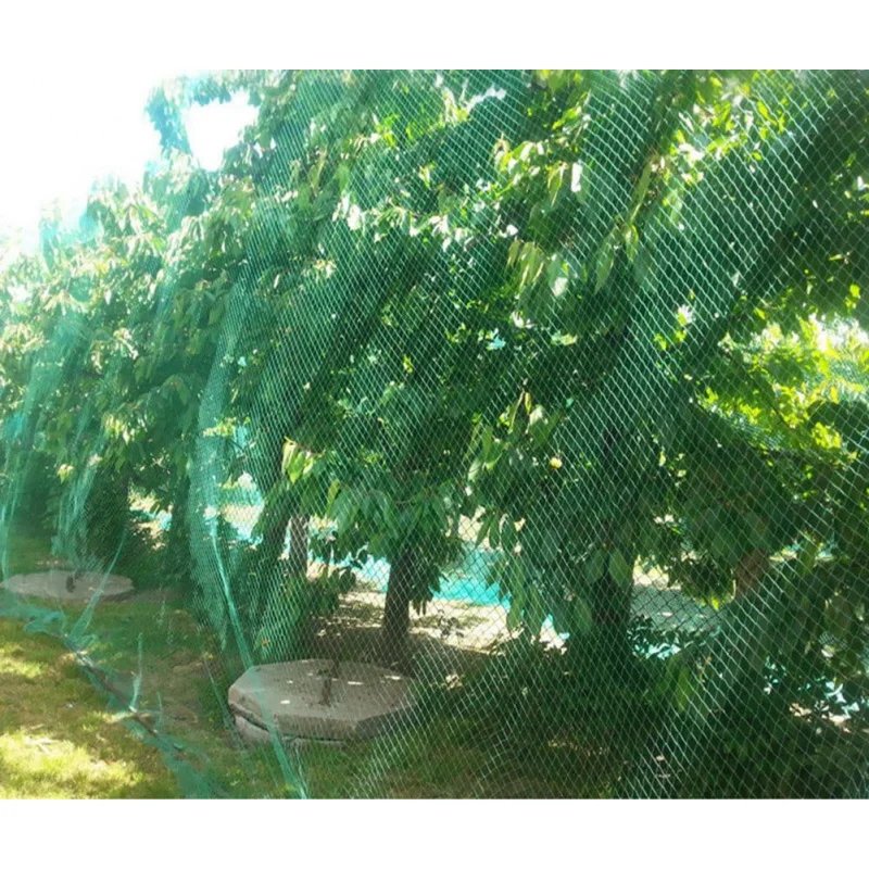 Red de jardín para protección de aves, rejilla de enrejado, red de esgrima de plagas para verduras, plantas, flores y árboles frutales, detiene plagas/Bi, 1 ud.