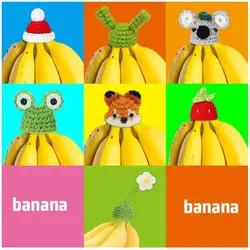 Keep Bananas Fresher For Longer,Banana Hat,Cover For Bananas, Bananas Preserver,Banana Hat To Keep Bananas Fresh,PACK Banana Hat