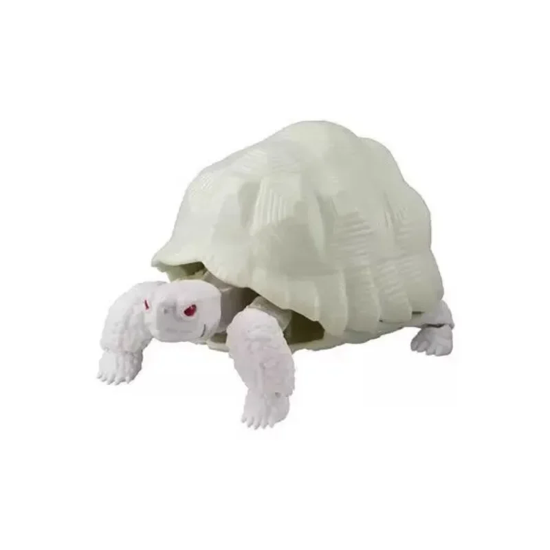 BANDAI-Original Japão Gashapon Action Figure, Tartaruga Bonito, Série Deformação, Simulação Animal, Estrela Indiana, Brinquedos Tartaruga