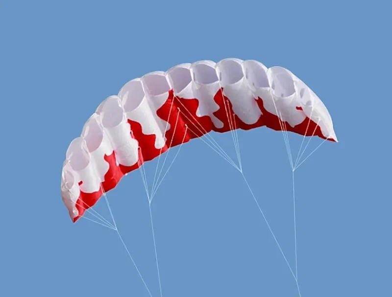 Flamme Dual Line Stunt Power Kite fliegender weicher Drachen Outdoor Windsurf Drachen großer Drachen Nylon Drachen Outdoor-Spielzeug professioneller Drachen Koi