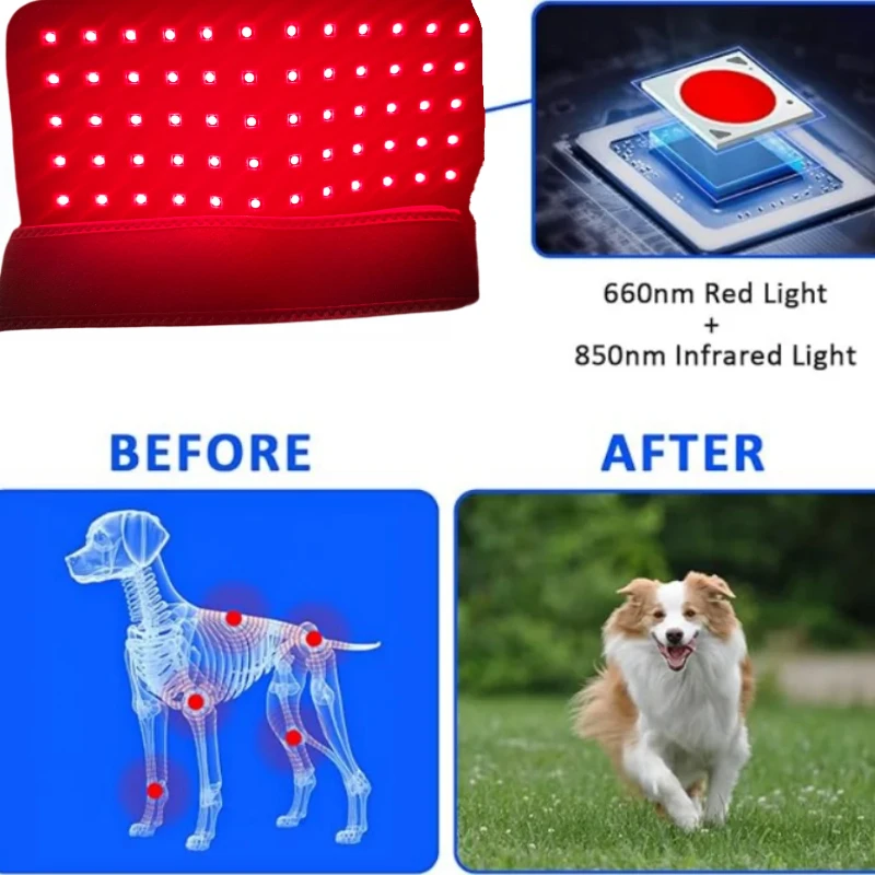 Veterinary Red Light Therapy Belt 660nm 850nm 60 Diodes, Cold Laser Therapy Device for Animals Joint Pain Skin Disease Relief