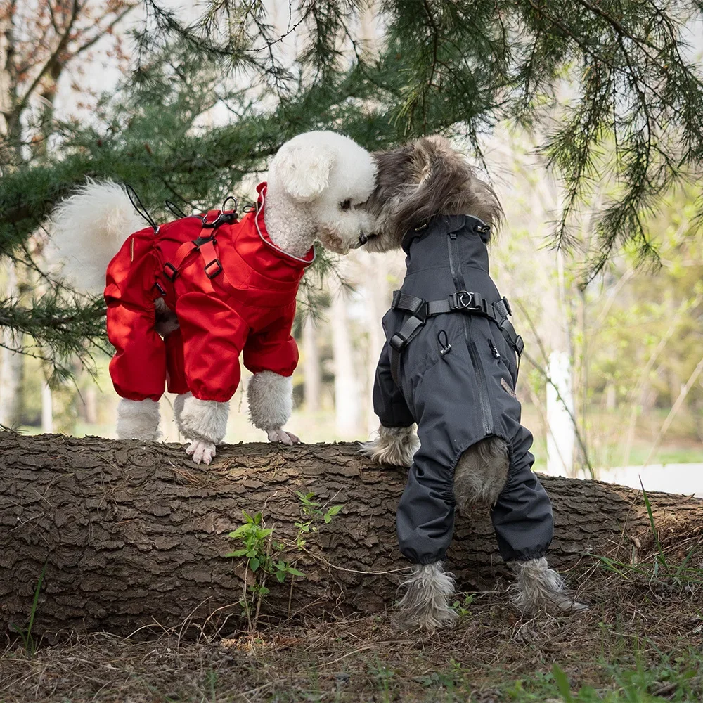 

Towable dog raincoat with four legs, Teddy bear waterproof dog raincoat, reflective adjustable new pet suit