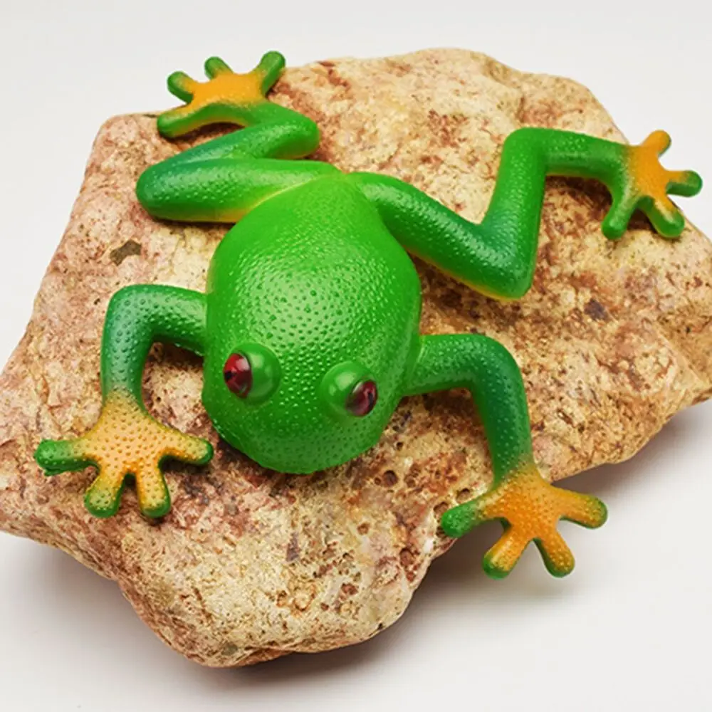 15*15cm High Quality Sensory Play Soft Rubber Frog Model Fake Frog Decompress Frog  Simulation
