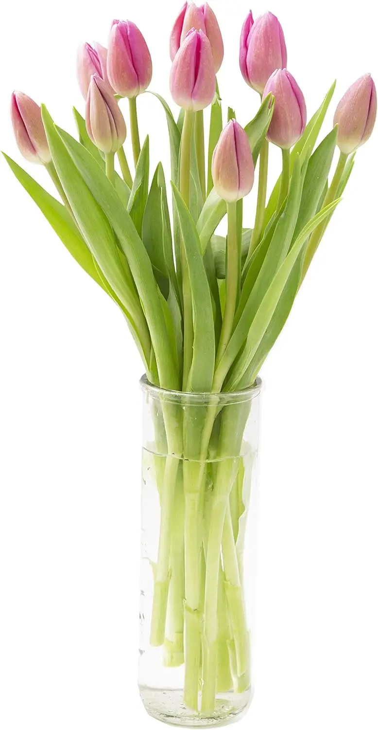 

Свежий букет розовых тюльпанов с вазой - подарок на День святого Валентина, День рождения, День матери - выращено в США