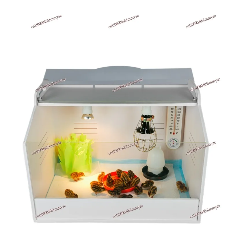 Full Set Transparent Special Self made Constant Temperature Control Rutin Chicken Feeding Box Pet Cleaning Feeding Tool
