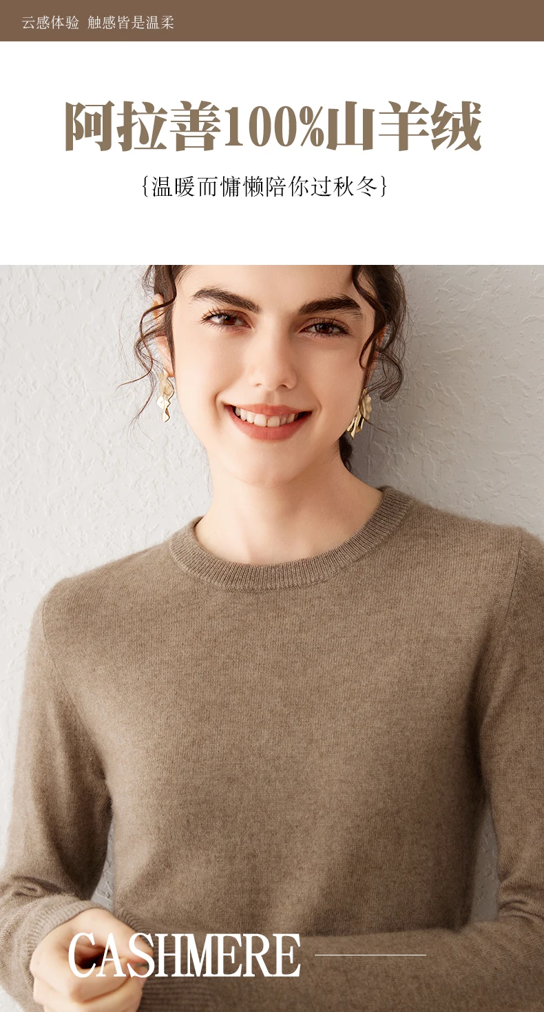 Damen 100% Reiner Kaschmir-Pullover 2026 Herbst Winter Rundhals Langarm Warm Weich Gestrickter Pullover Neue Strick-Oberteile Damenkleidung – Detail 1