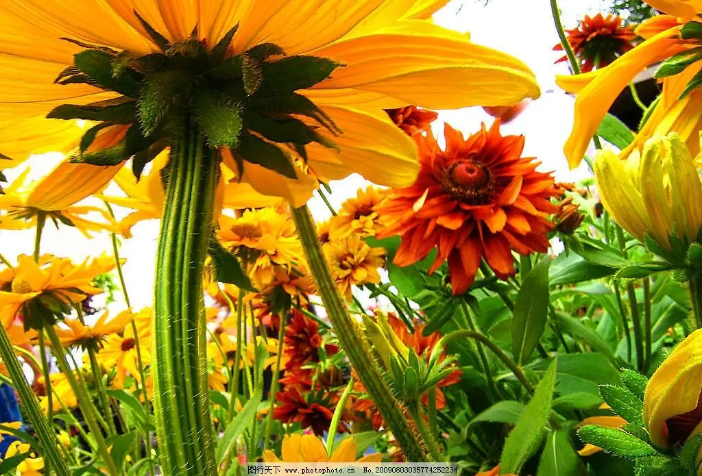 

4Pcs CNC Wheel Tires 1.9inch/2.2inch for 1/10 1/8 RC Car Axial SCX10 D90 TRX4 Capra Wraith Monster Truck Upgrade Parts