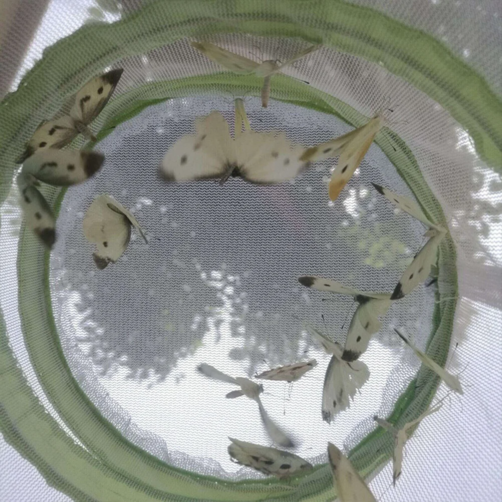 2 قطعة قفص الحشرات للأطفال خفيف الوزن على شكل فراشة اليعسوب منزل للاستكشاف في الهواء الطلق تشجيع دراسة الطبيعة