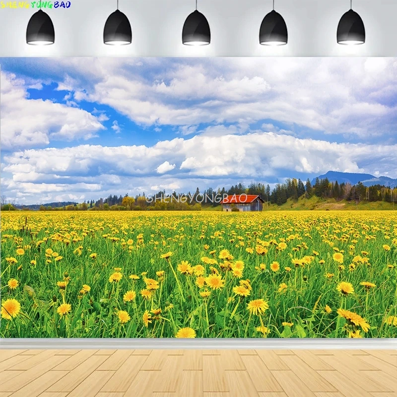 

Green Wheat Field Blue Sky Photography Backdrops Prop Pastoral Scenery Landscape Forest Blooming Rapeseed Photo Background BU-03