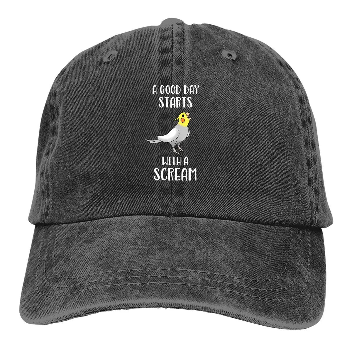 Summer Cap Sun Visor A Good Day Start With a Scream Hip Hop Caps Parrot Birds Pet Cowboy Hat Peaked Hats