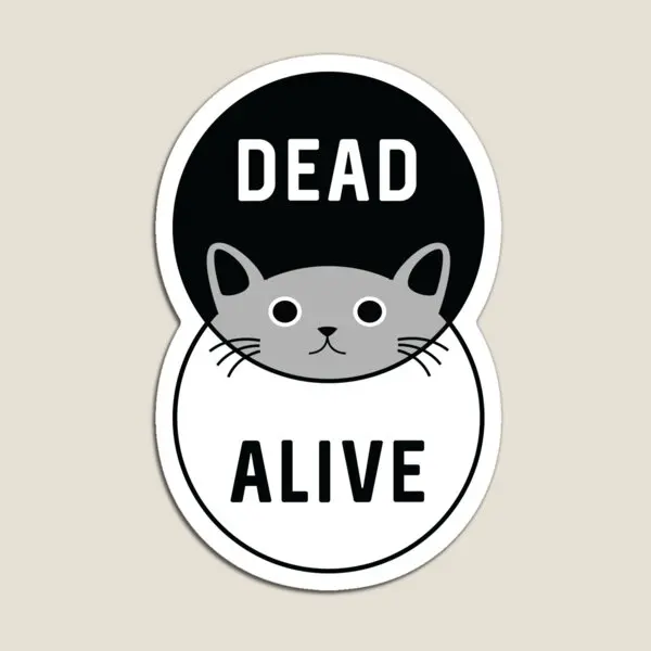 Schrodinger Is Cat Dead Or Alive  Magnet Cute Holder  Toy Home Funny for Fridge Organizer Magnetic Baby Refrigerator Colorful