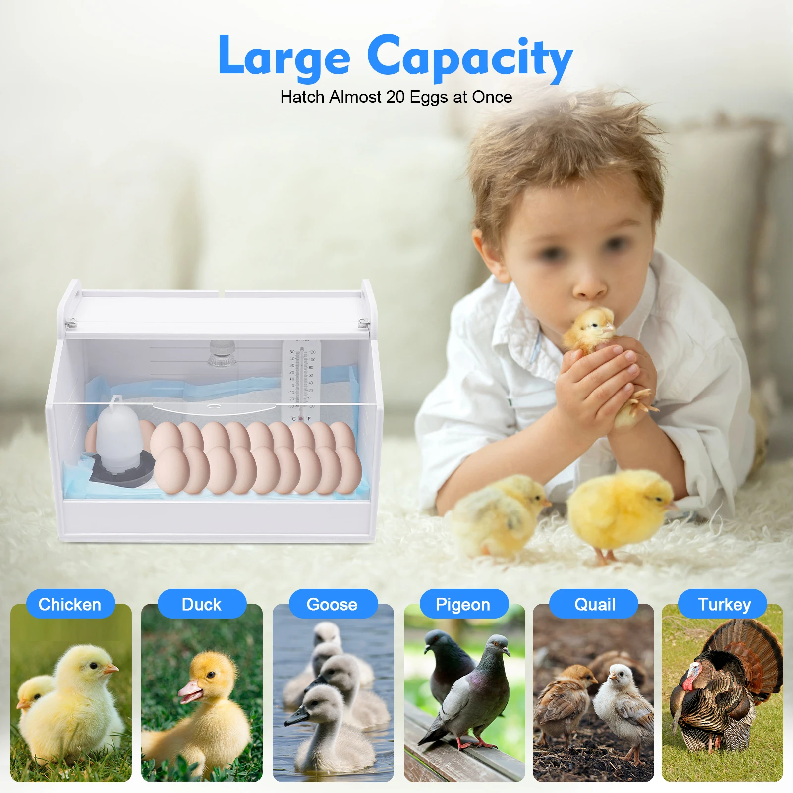 20 Eggs Chicken Incubator 25W, Chick Brooding Box with Heating Lamp, Poultry & Reptiles Brooding Machine