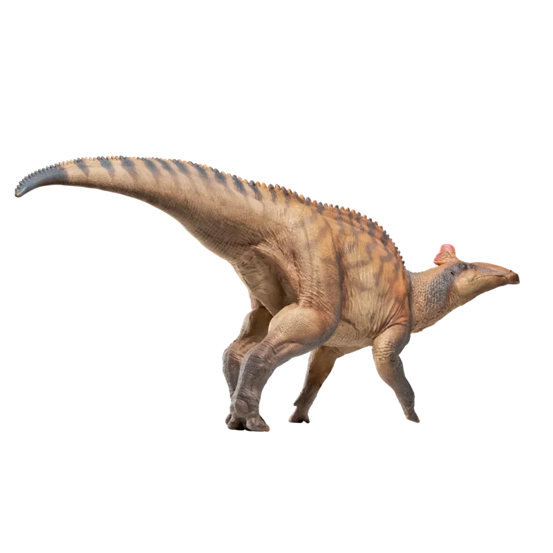 Hot Genuine Dinosaur King Model 80 Growth Companion Action Figure Edmontosaurus Static Animal Model Decorative Ornamaent Toy