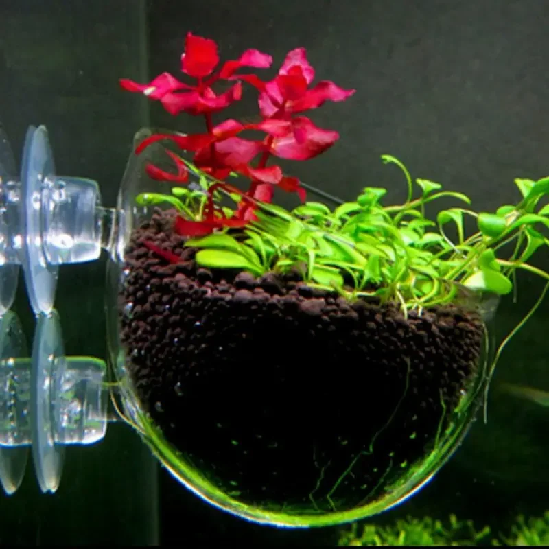 Aquarium Plant Holder Crystal Glass Aquatic Plant Pot with Suction Cups for Fish Tank Aquarium Decorations