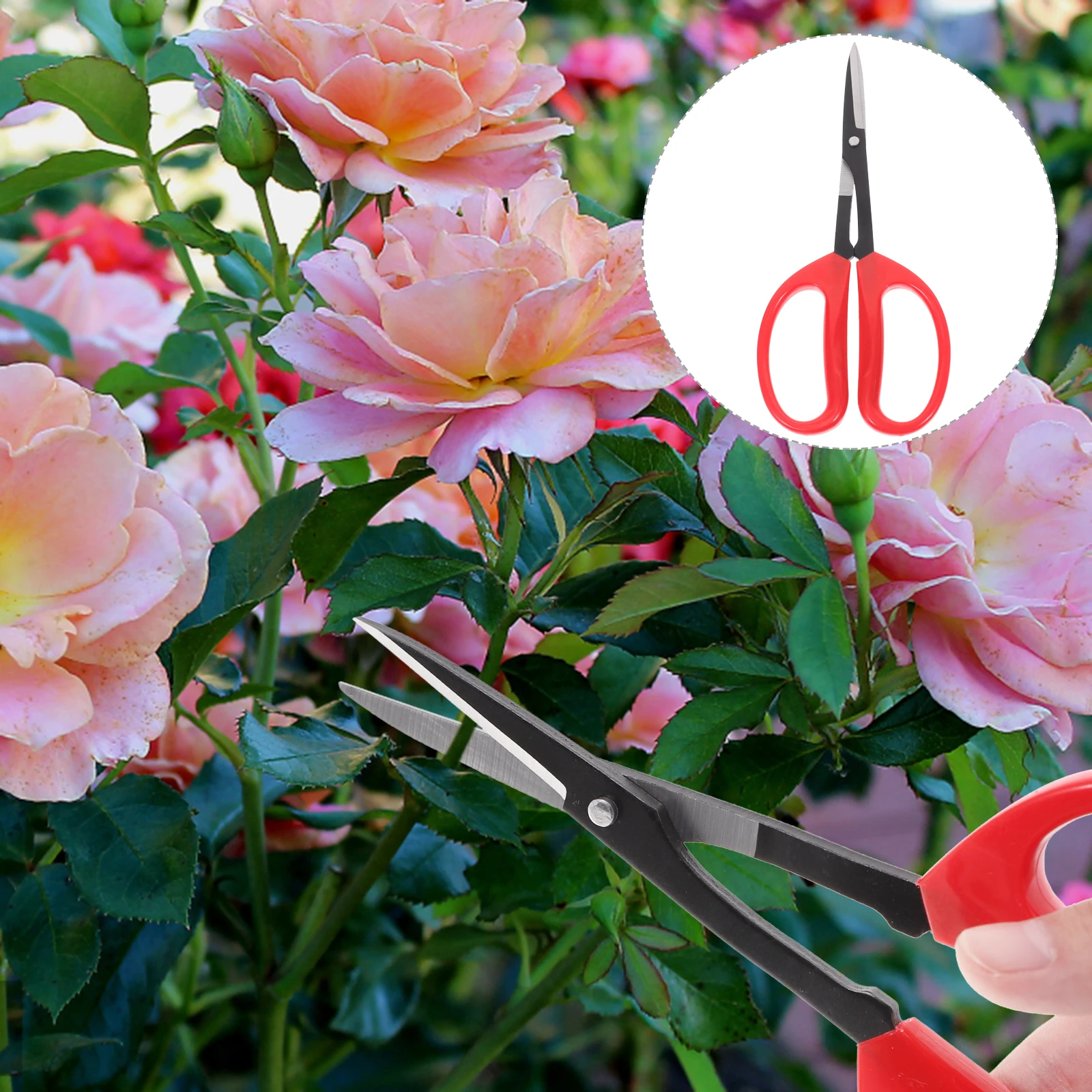 

Stainless Steel Pruning Shears Gardening Trimmer Non Slip Ergonomic Handle Durable Rust Proof Easy Clean One Hand Operation