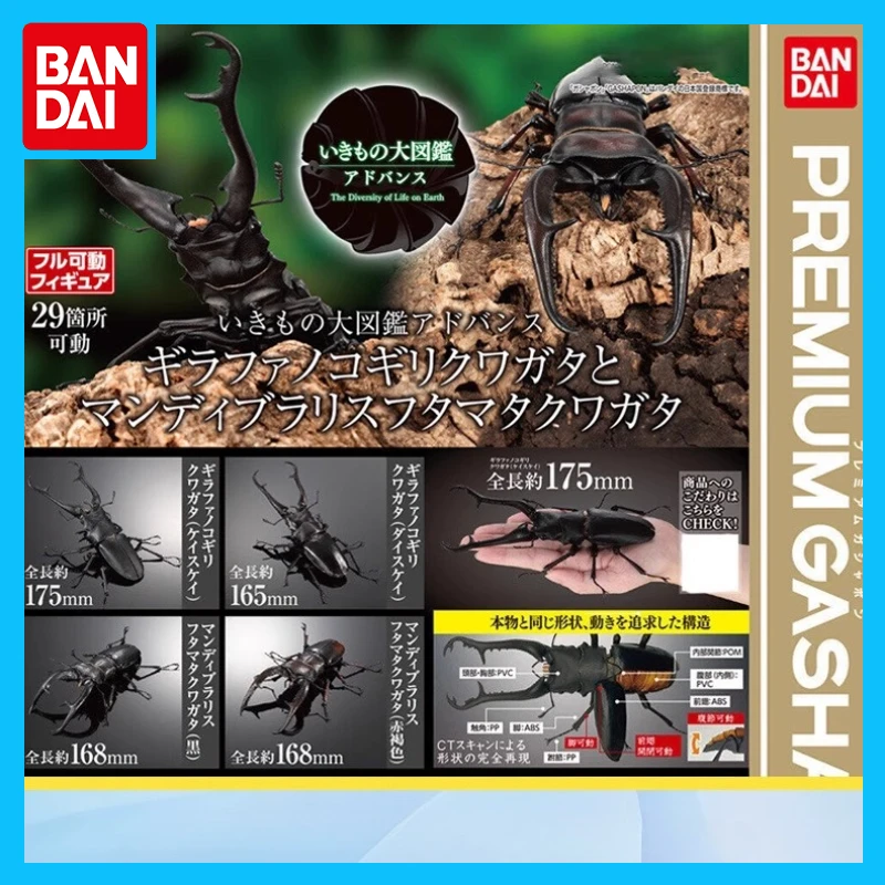 

Bandai Original Biological Encyclopedia Anime Figure P.giraffa Insect Ornament Action Figure Toys for Boys Girls Kids Gift