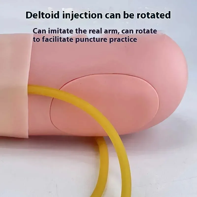Venous Puncture Exercise Long Arm Kit with Deltoid Muscle Injection Training Puncture Blood Puncture Practice Kit