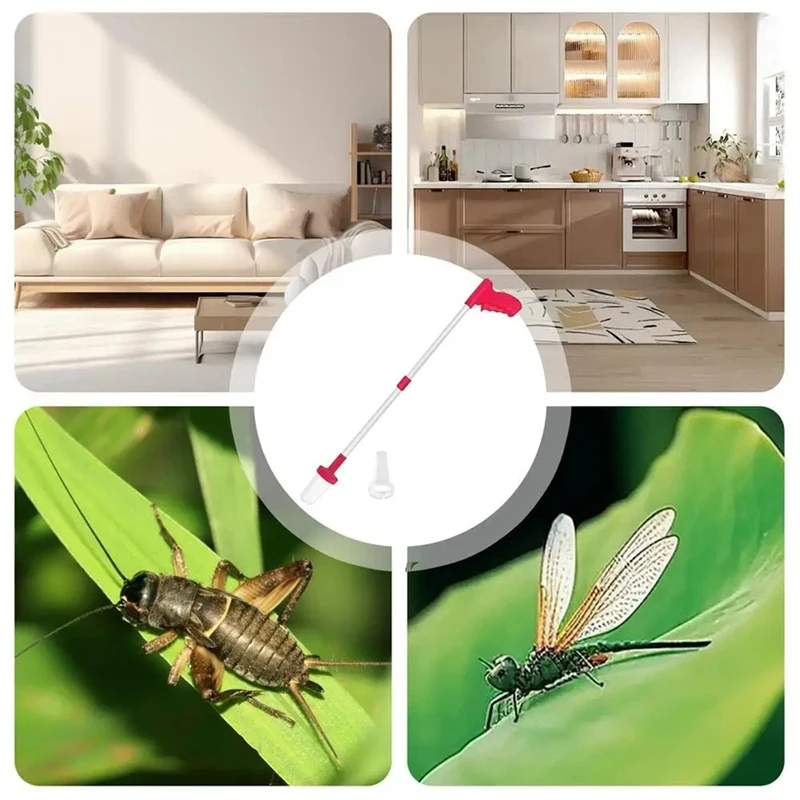 

Insect CatcherSpider Catcher Long Handle Folding Cockroach Grabbers Spider Catcher Traps Long Handle Cockroach