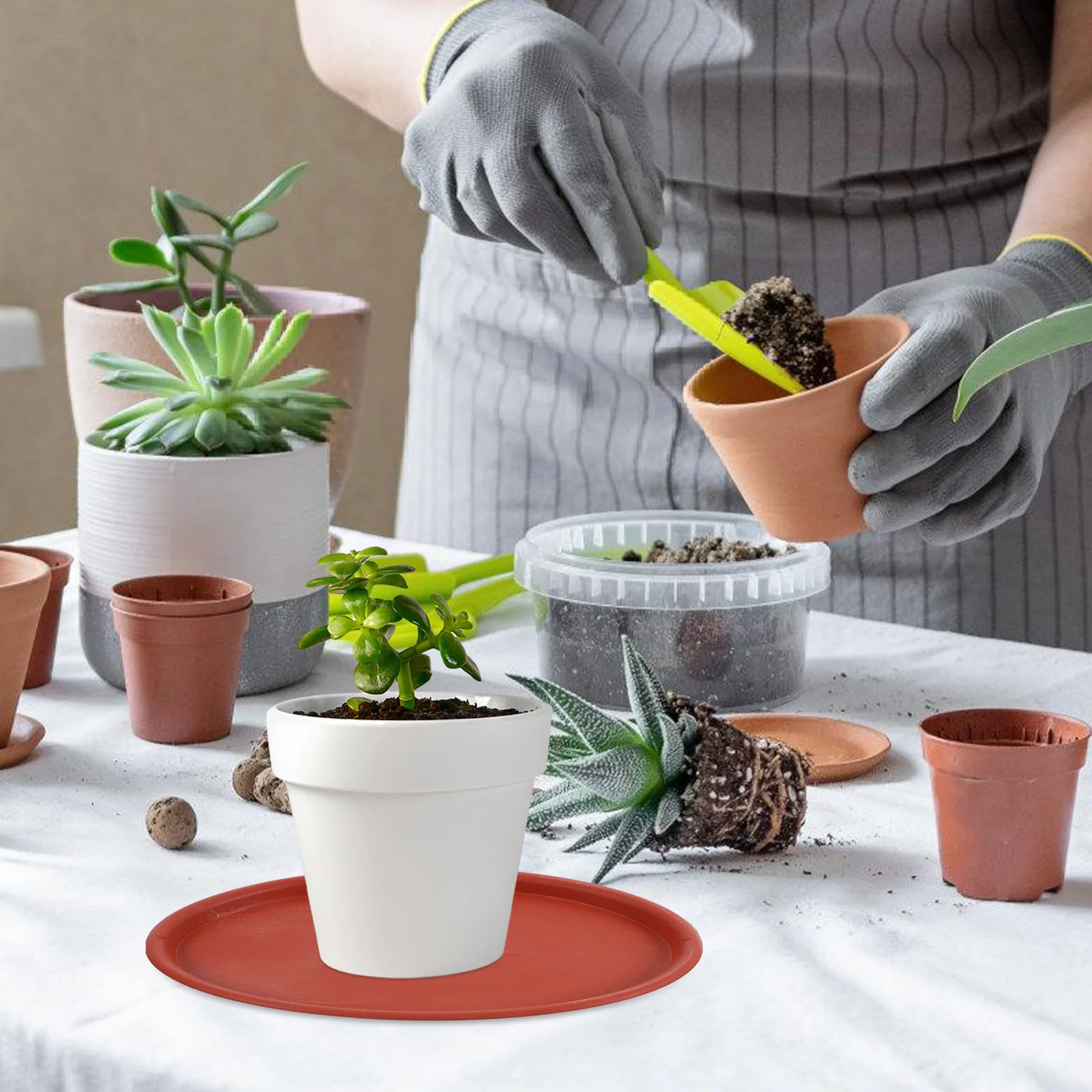 

10Pcs Plant Pot Tray Oval Plastic Saucer for Flower Pots Indoor Garden Waterproof Drip Catcher Heavy Duty Surface Protector