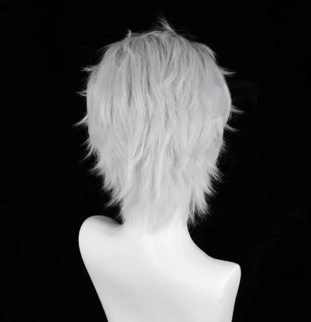 Short Silver White Straight Synthetic Wig Middle Part Anime Game Cosplay Men Fluffy Hair Wig for Daily Party