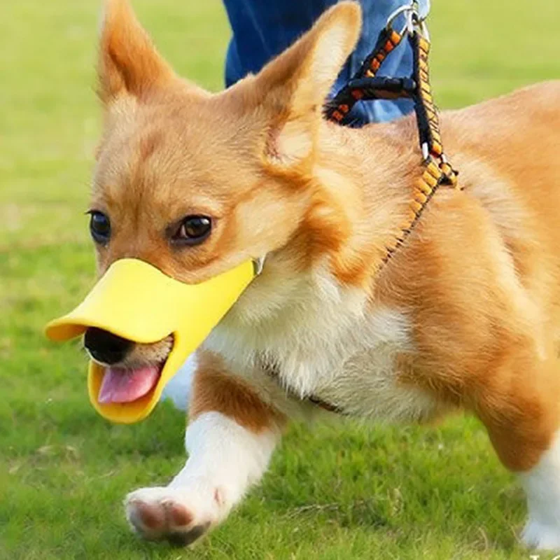 Pet Dog Muzzle Breathable Muzzles Large Dogs Stop Biting Barking Chewing Anti Bite Duck Mouth Puppy Covers Pet Supplies