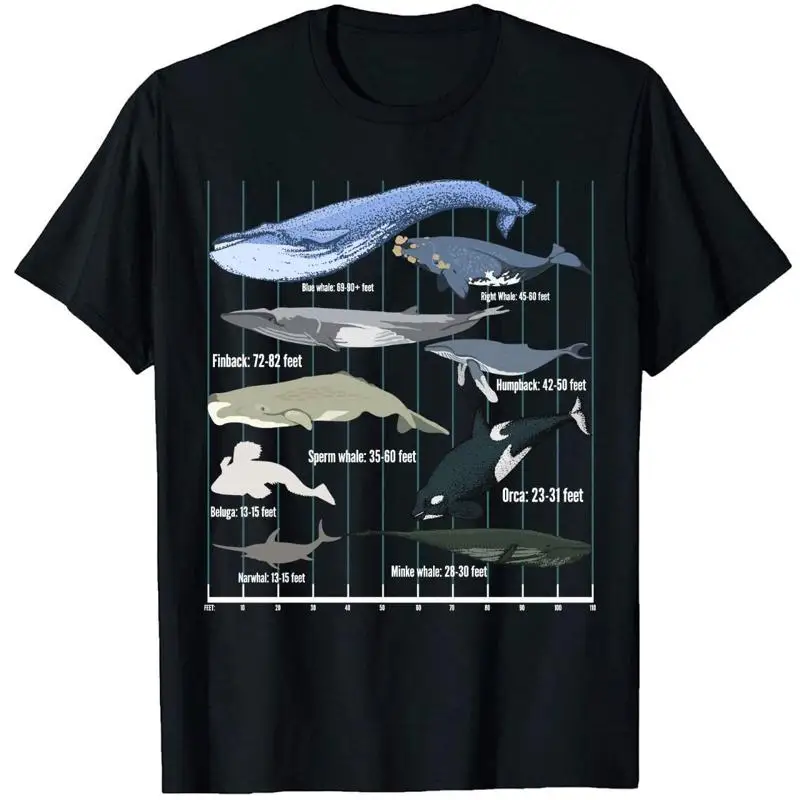 

Huge Whale T Shirt Humpback Biology Marine Biologist Artwork Beach