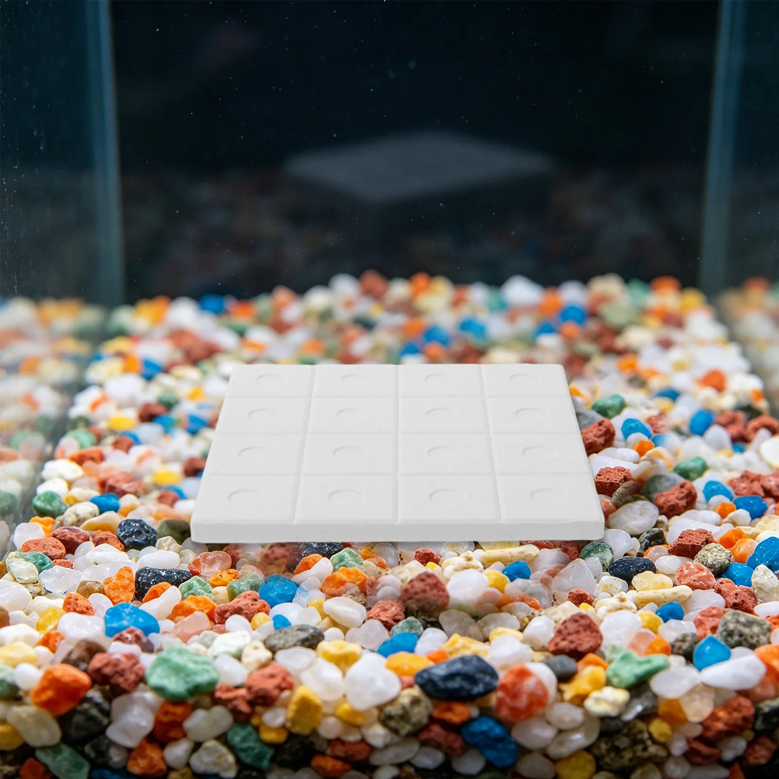Base per Riproduzione Coralli, - Coral Frag Plug recensione e prezzo