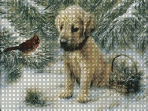 

DIY Cross Stitch Sewing Kit, White Canvas, Unprinted Fabric, Cotton Thread, Aida, 31-Dogs and Birds, 56-45