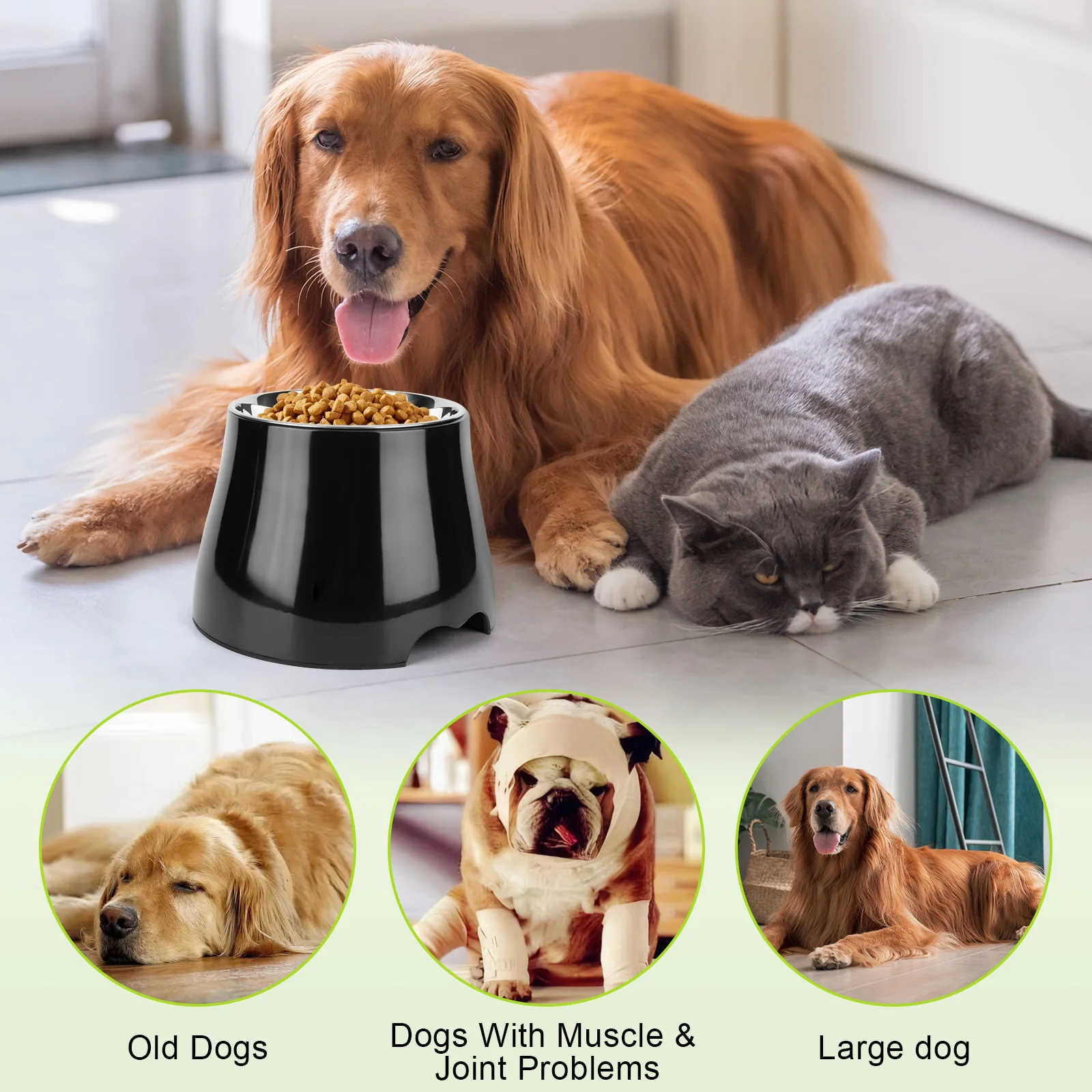 Stainless Steel Dog Food and Water Bowl with Anti-Skid Rubber Base Spill Proof Dog Food Bowl Pet Bowl for Dogs Cats Puppy Rabbit view 6