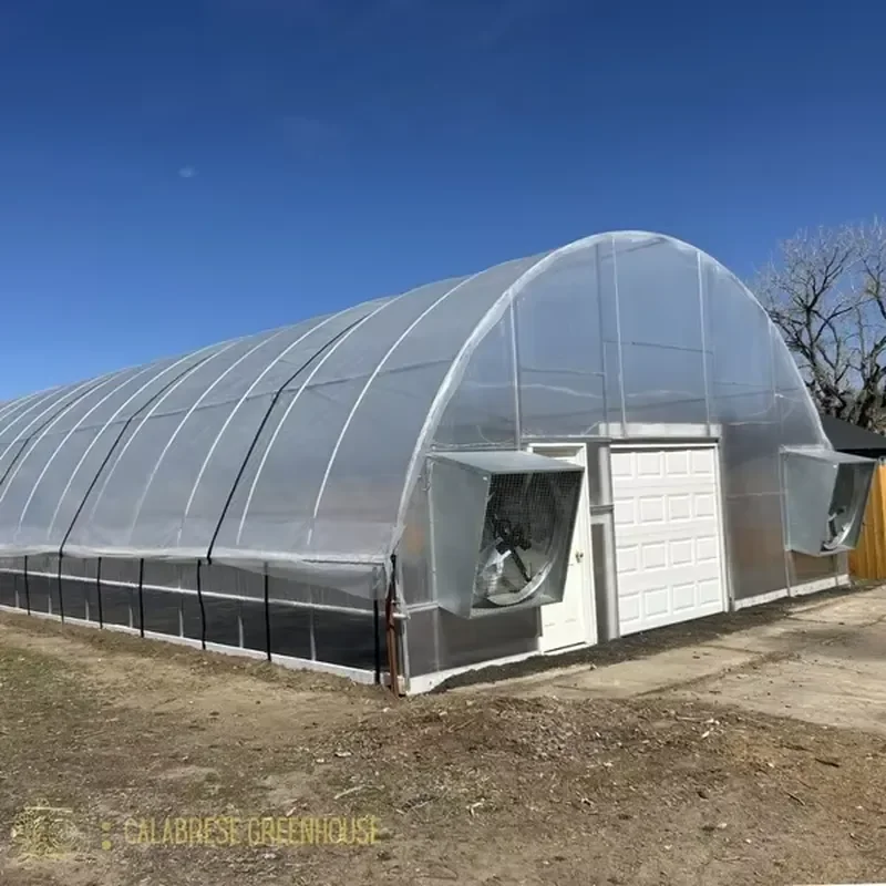 Factory Produces Simple Arched Greenhouses for Vegetables Fruits and FlowersSuitable for Spring and Autumn Cultivation