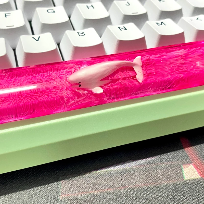 مفتاح مفتاح ecome للحوت ، سبيب - مراجعة Keycaps Spacebar 6.25U Custom وسعره