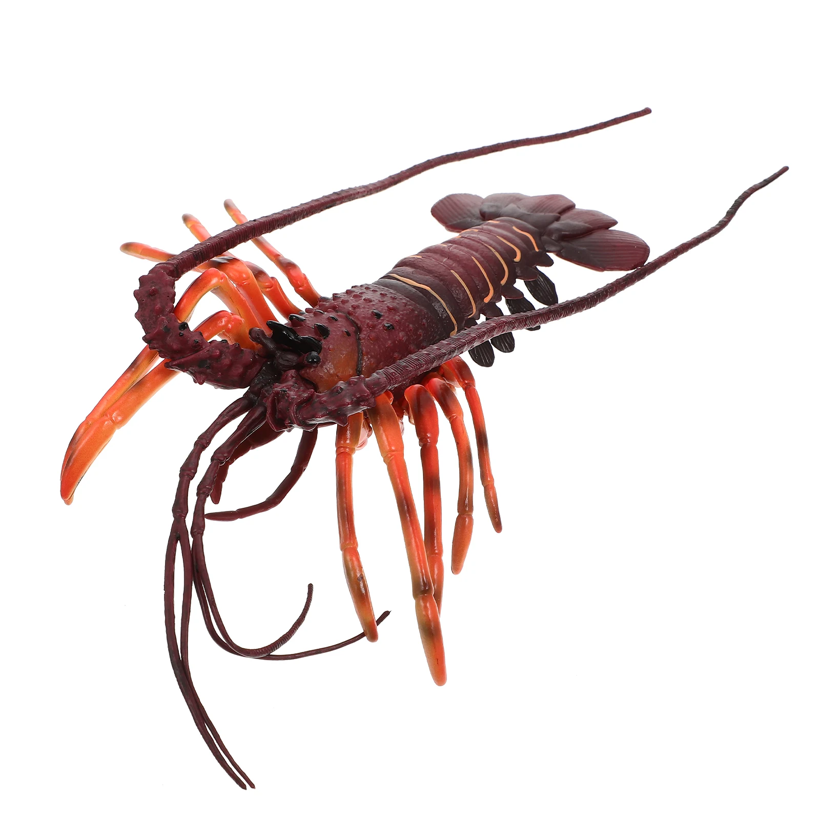 

Premium Lifelike Lobster Plastic Educational Desktop Ornament Simulation Animal Decorative Cognitive Plaything Craft