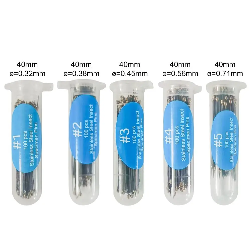 100Pcs Upscale Education Lab Accessories Entomology Needle Specimen Pins Pin Insect Dissections Supplies