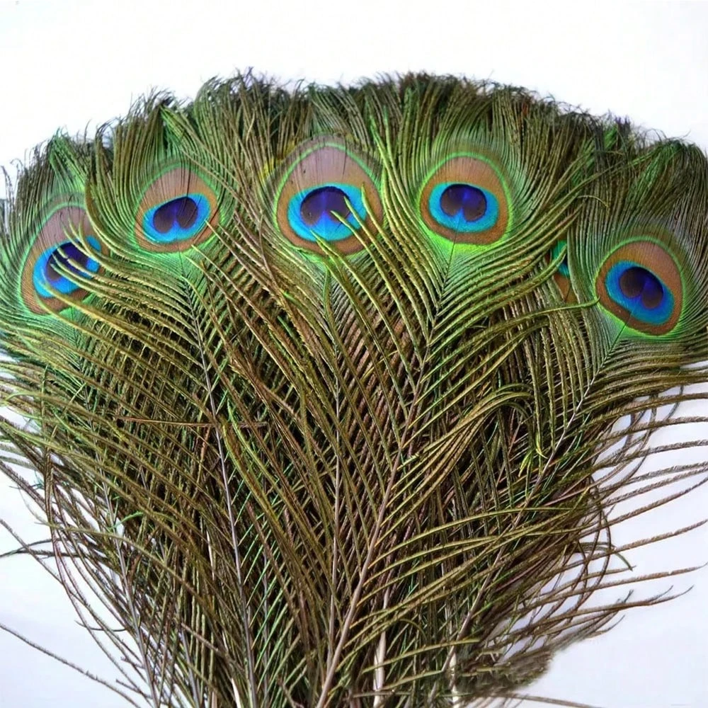 

10/30/50Pcs Natural Peacock Feathers 25-30cm Bulk Eye Feather Mix for Crafts Vase Wedding Party Peacock Feather Decoration Home