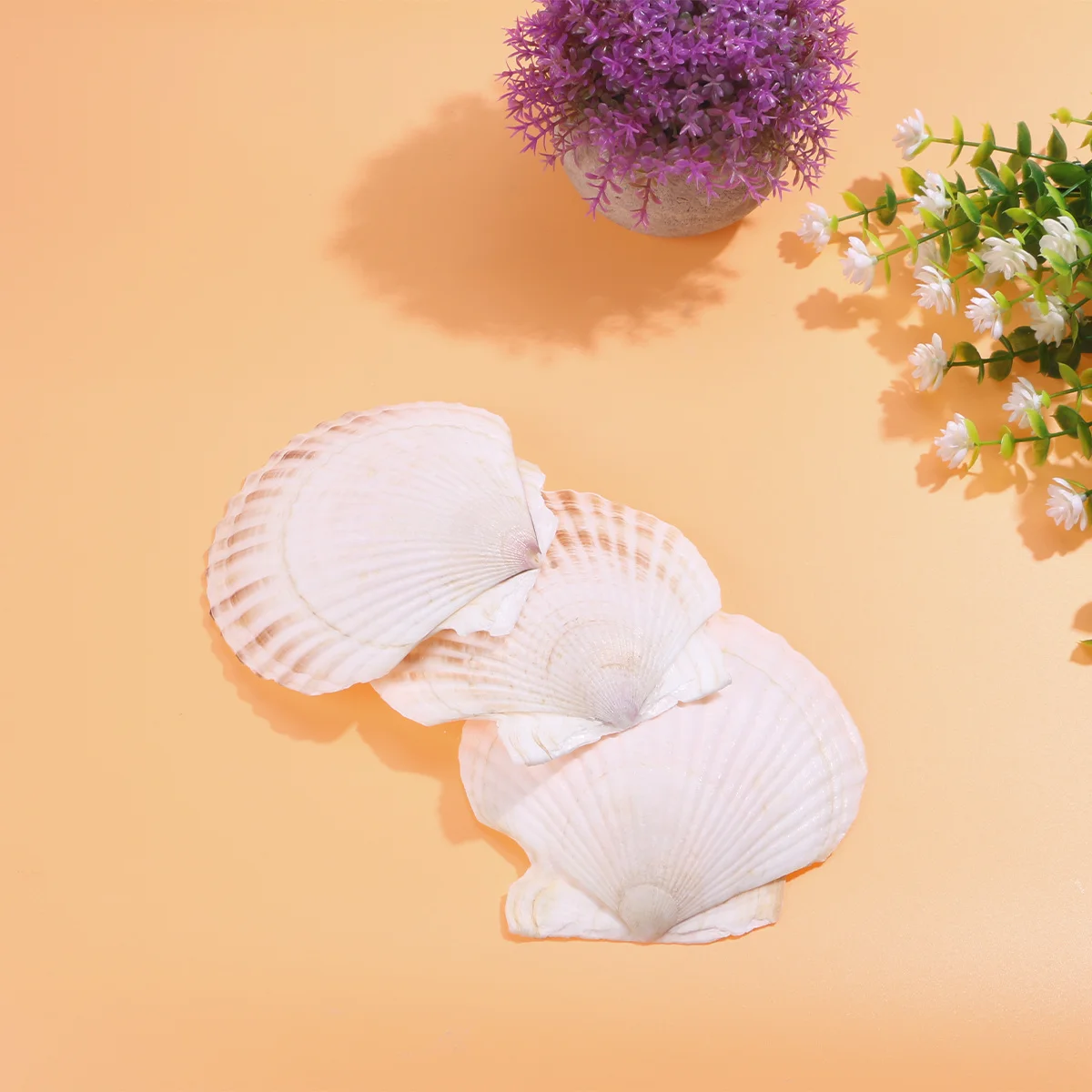 

3Pcs White Scallops Fish Tank Decorations Natural Feel Aquarium Ornaments Change Scenery Safe Attractive Fish Tank Decor