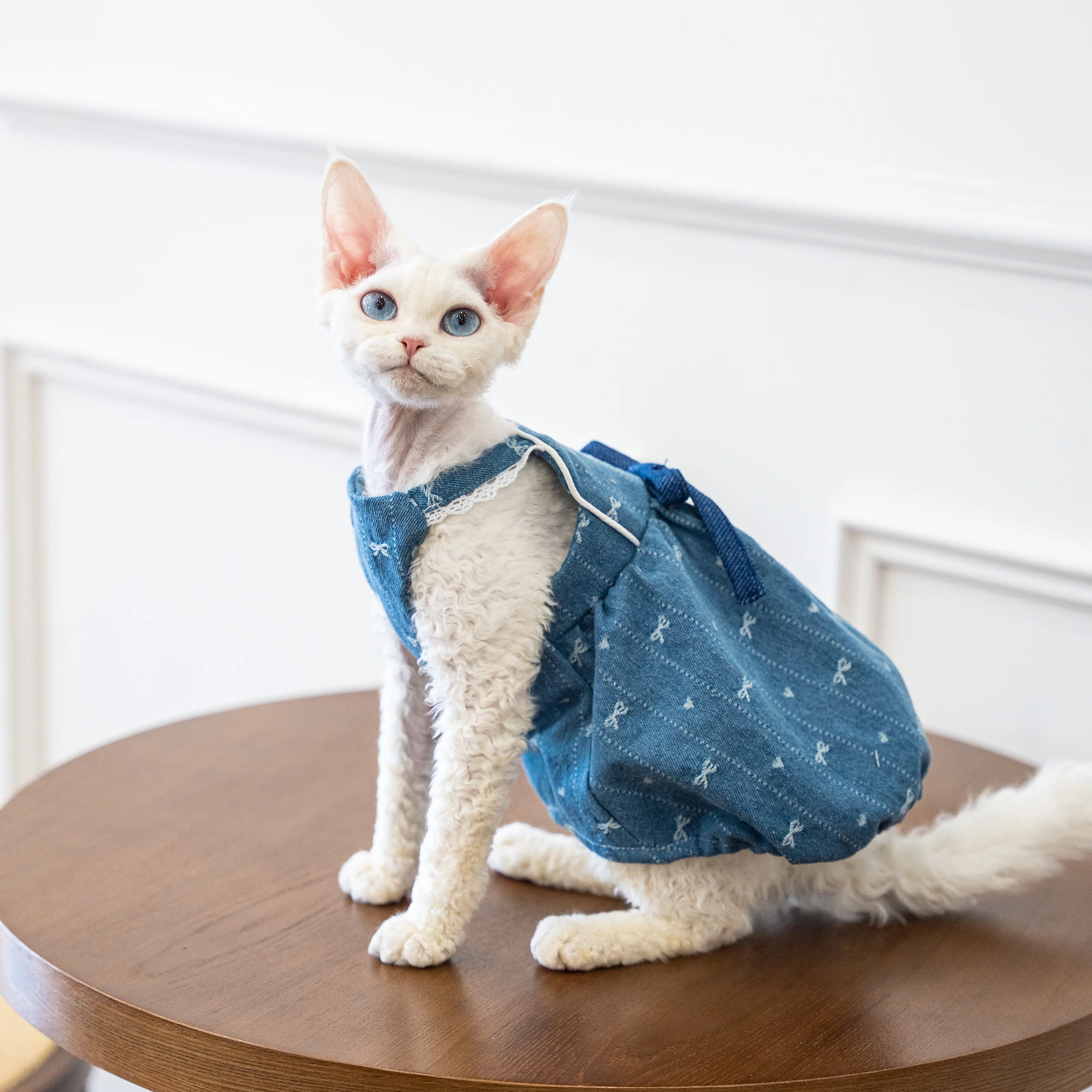 Luxury Sphynx Cat Spring Cotton Blue Denim Dress Soft Vest with Bowknot for Devon Curly Kittens Slip Dress