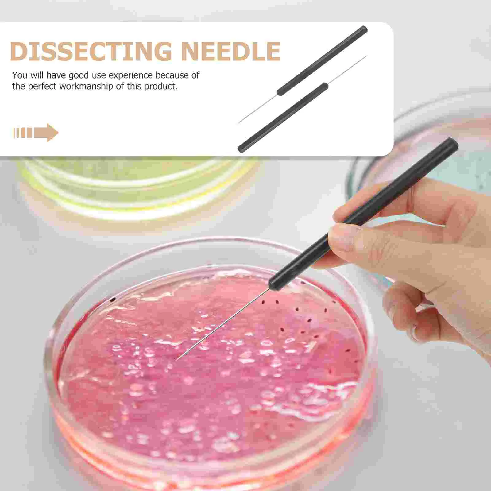 2Pcs Biological Sample Insects Dissecting Needle Professional Dissection Teaching Tool specimen dissection tool