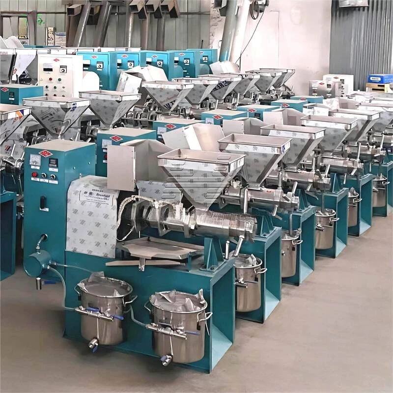 Coconut Extracting Sesame Real Oil Press Machine Extractor