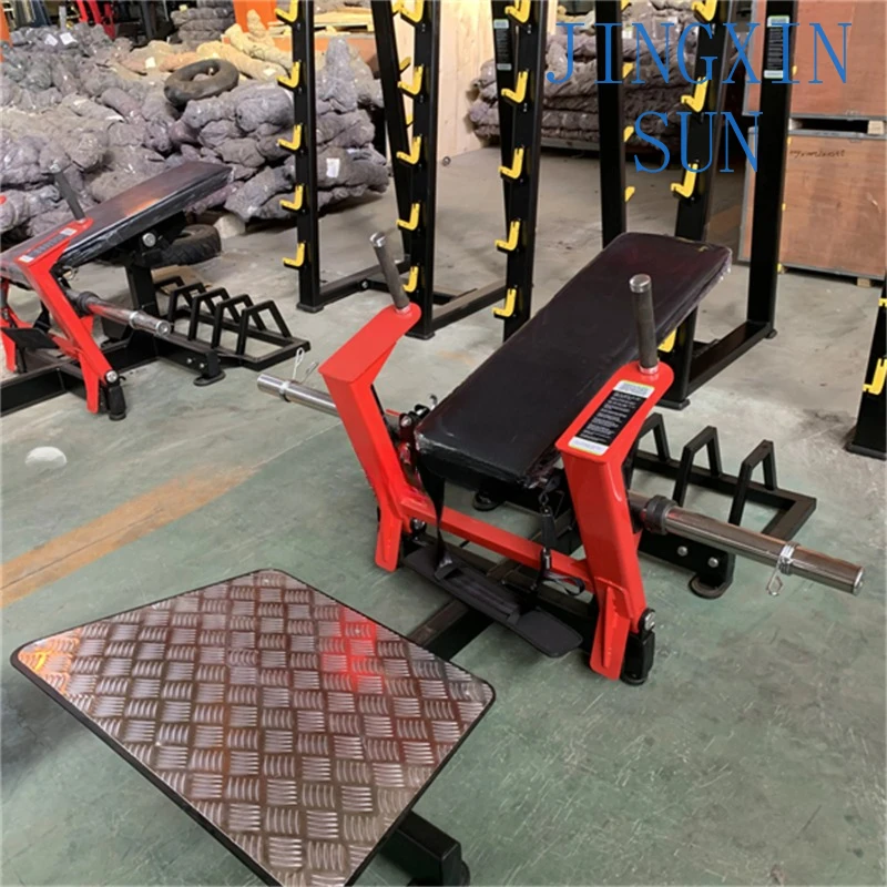 Factory Direct Popular Body Building Special design   gym equipment