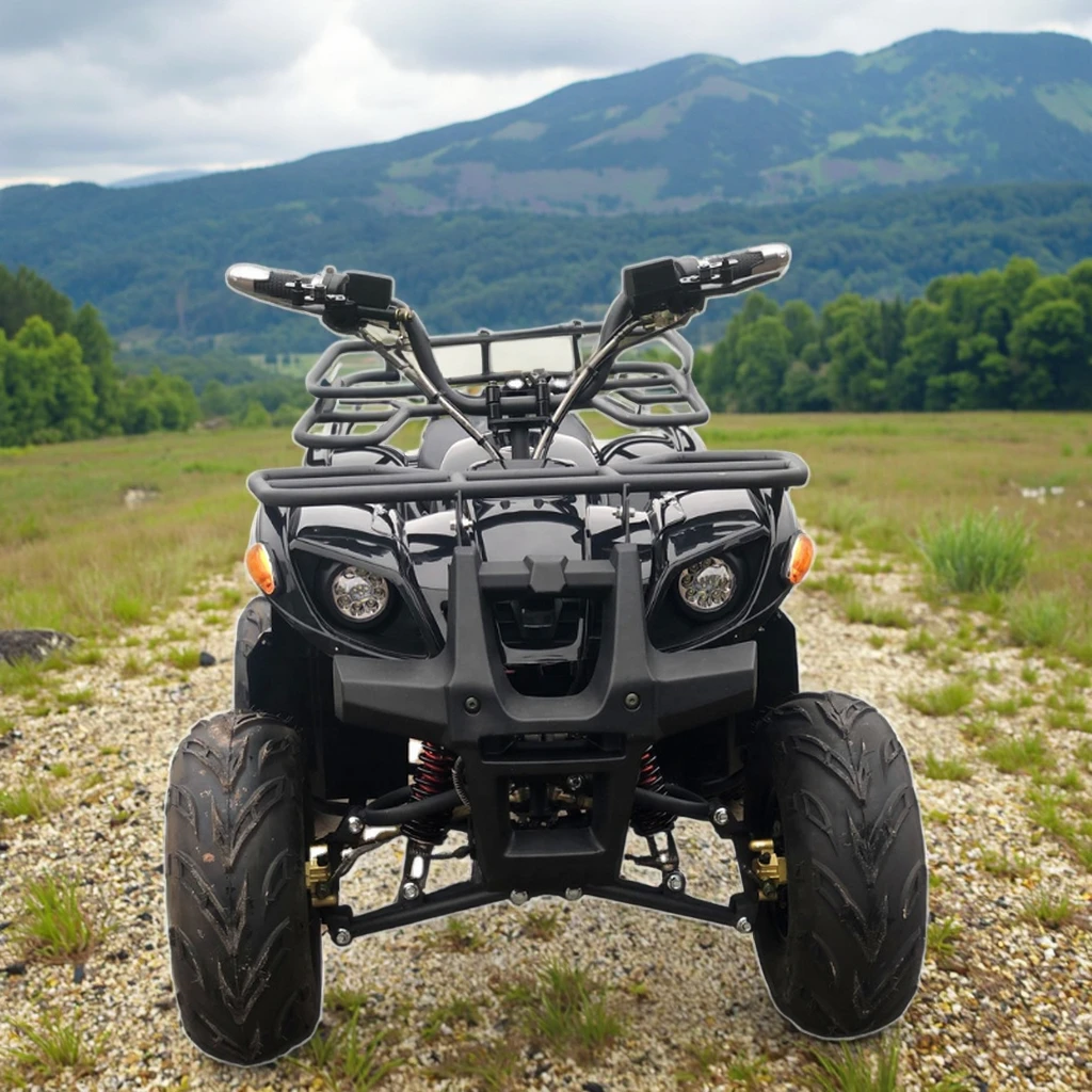 

New 1200W 48V Kids Electric ATV Quad Bike