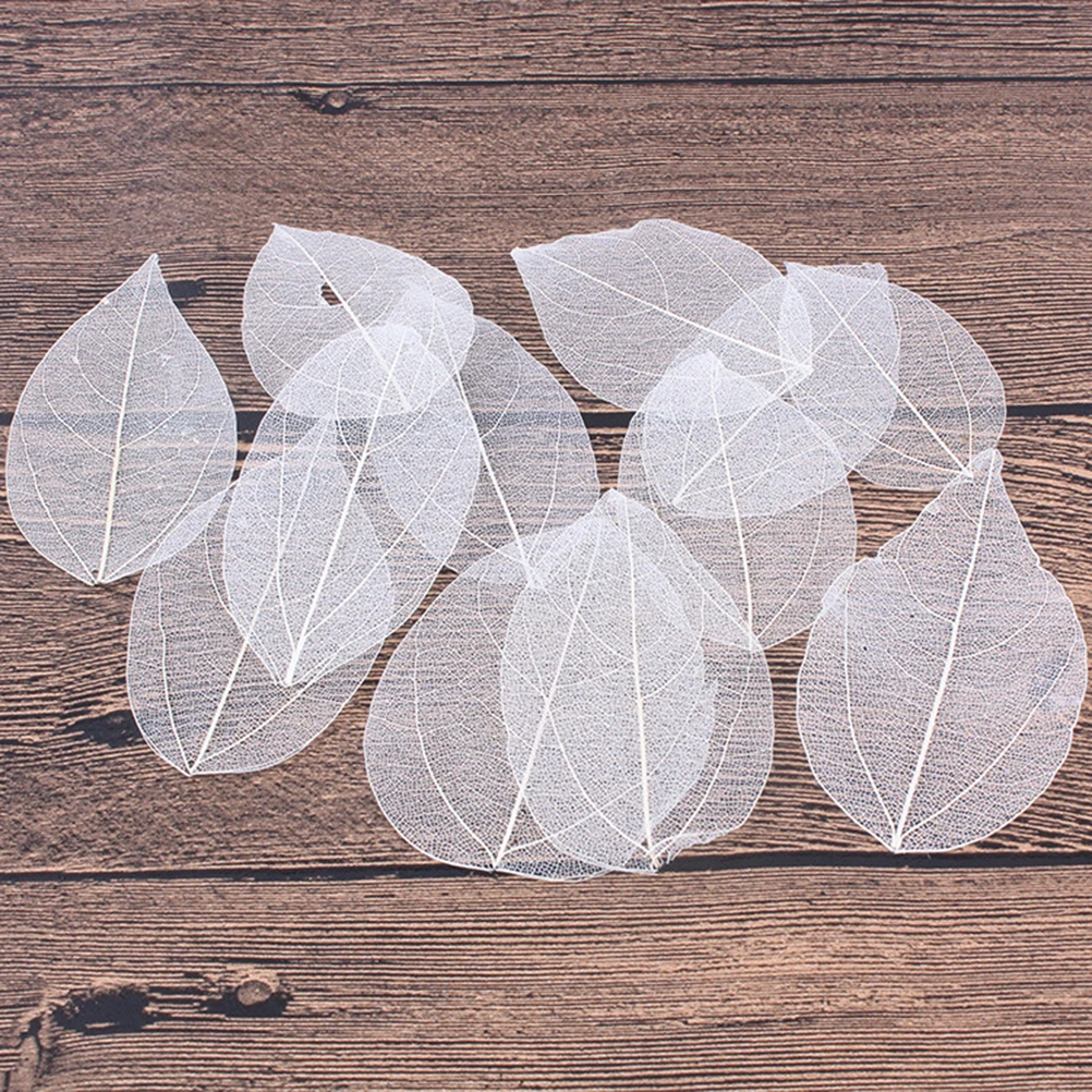 6 قطعة عينة الورقة الطبيعية اليدوية Diy بها بنفسك المواد الحرفية للإشارات المرجعية بطاقات المعايدة سجل القصاصات الديكور الأوراق المجففة