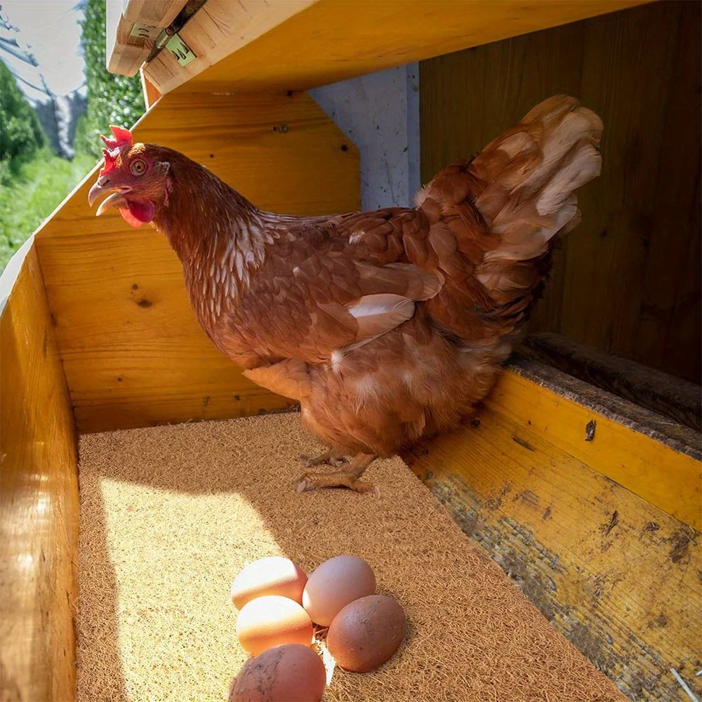 Coconut Chicken Nesting Pads 5