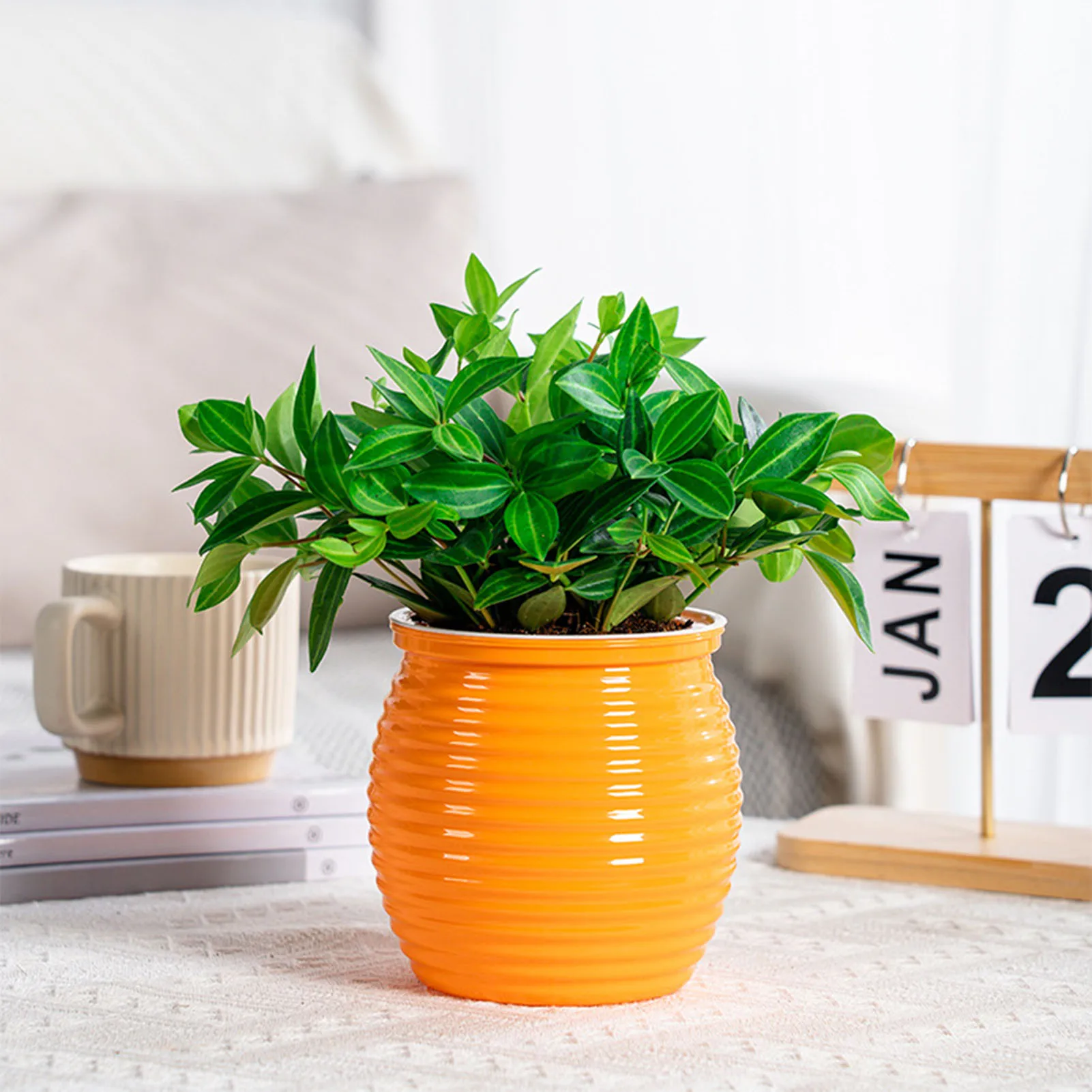 Self Watering Flowerpot Automatic Water Absorbing Flowerpot Transparent Double Layer Plastic Succulent Plant Pot Decorative Pot