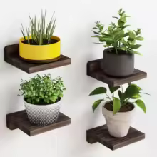 4-Pack Small Floating Wood Shelves (Various)