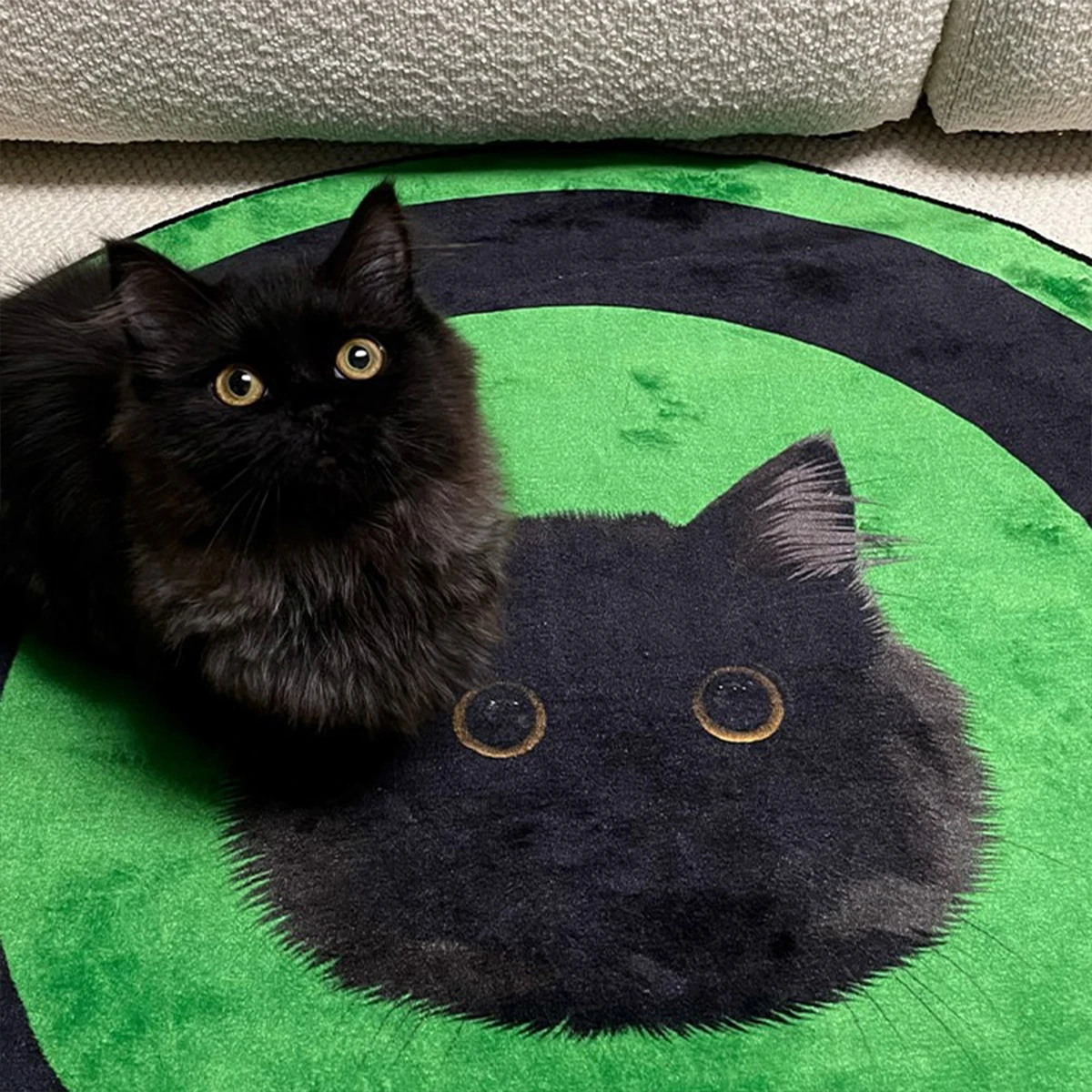 Custom Pet Portrait Carpet Round Rug Faux Cashmere Machine Washable Floor Mats Creative Design Living Room Bedroom Rugs Decorate
