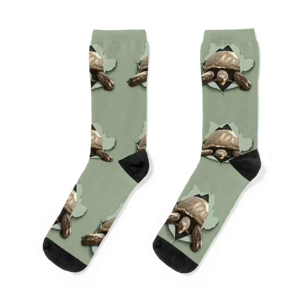 

Sulcata Burst Socks cute winter gifts winter short Socks Ladies Men's