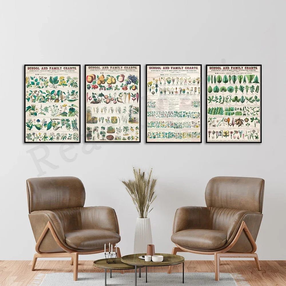 Vintage botanical poster, mushrooms and fungi, educational infographic on poisonous plants, plant classification, Marcius Willso