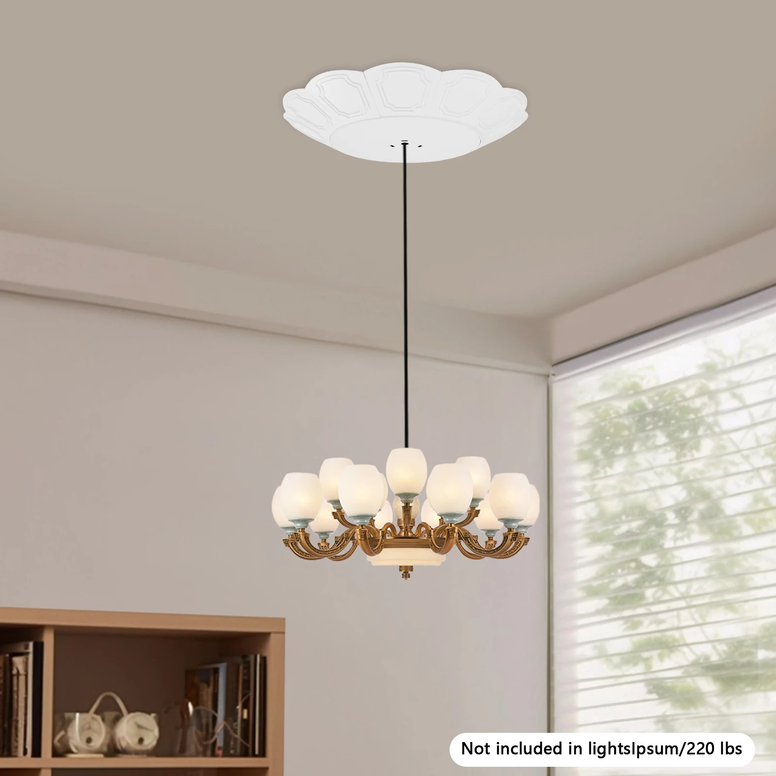 نظام رفع مرفاع الثريا 2 في 1، سعة 100 كجم/220 رطل، رفع ضوء السقف الأبيض الحديث، رافعة مصعد الثريا #5