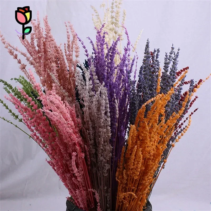 �y�Z�[�����z100 �i�`�������v���U�[�u�h���x���_�[�h���C�t�����[�u�[�P�p�[�e�B�[�������̑������ԃp���p�X�z�[���N���X�}�X����