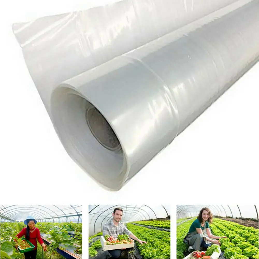 Plastic Transparent Green 15m Vegetable Greenhouse Agricultural Cultivation Ptotection Cover Film